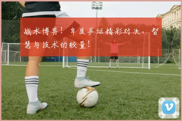 战术博弈！年度乒坛精彩对决，智慧与技术的较量！